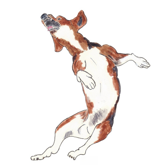 Dog-toon Ode to Joy
