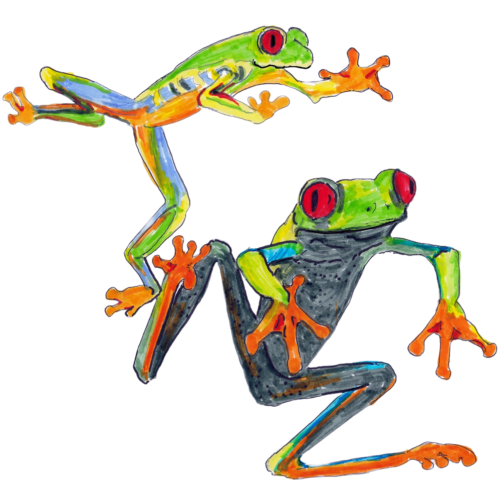 Leapfrogging