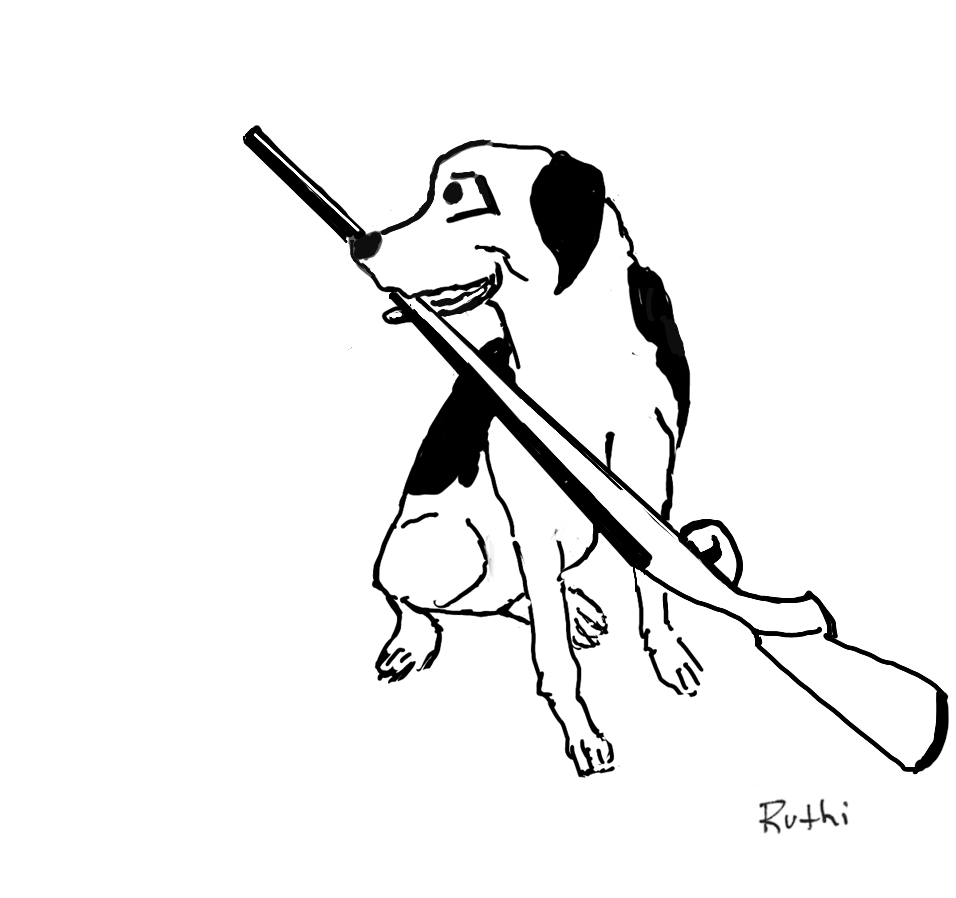 Dog Ready to Hunt