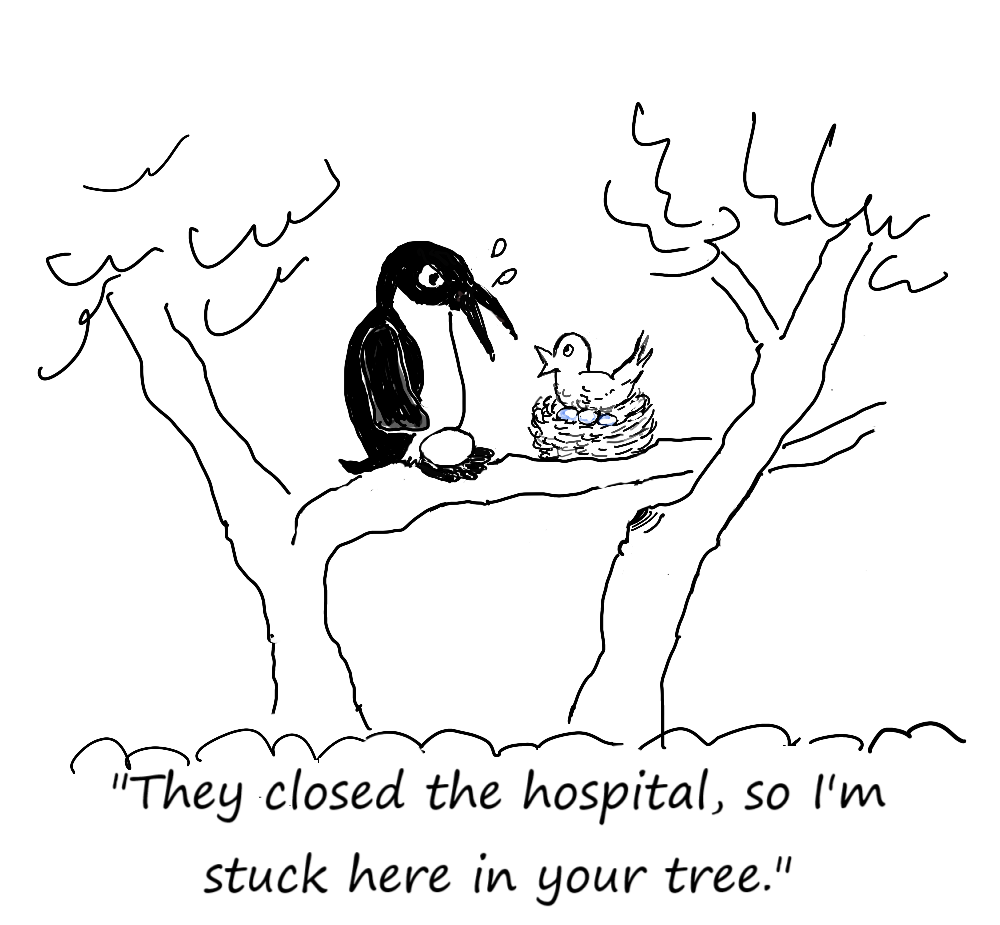 Stuck In Your Tree