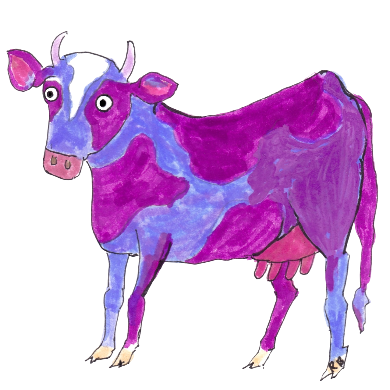 Purple Cow