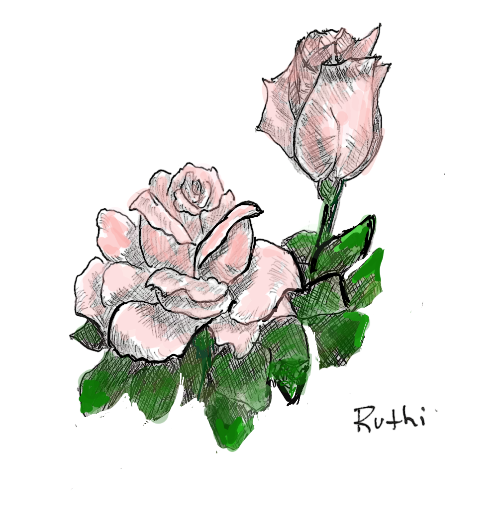 Roses