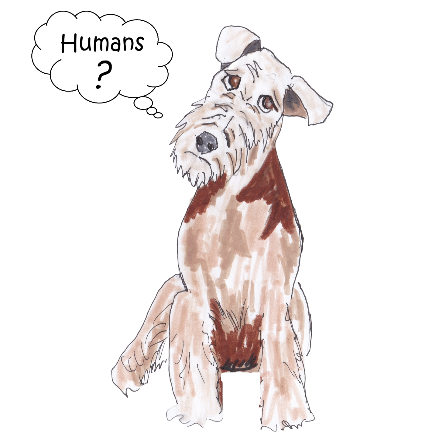 Curious Airedale Terrier