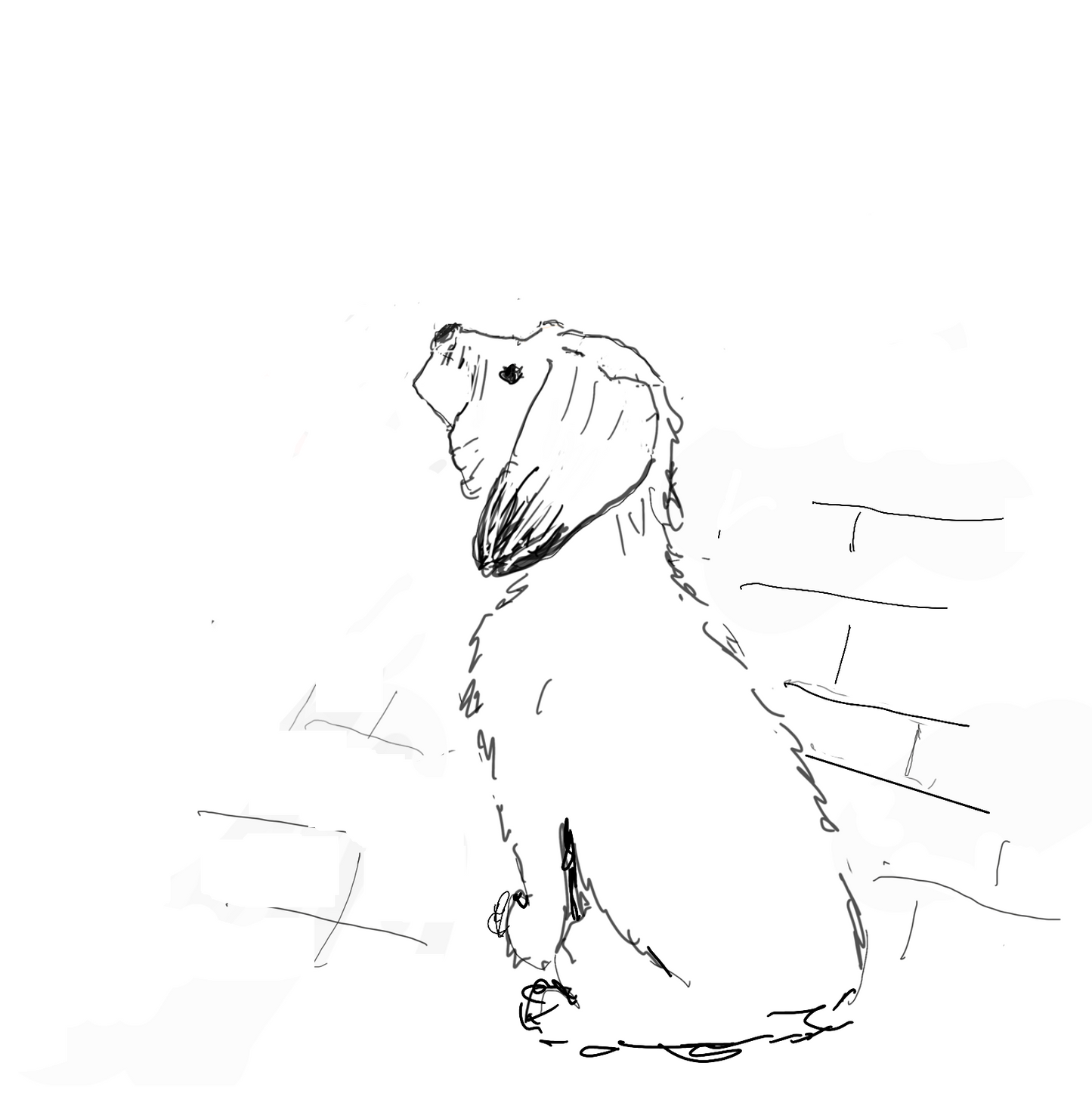 Terrier in Love