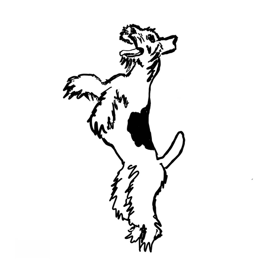 Dog-toon Jumping Fox Terrier