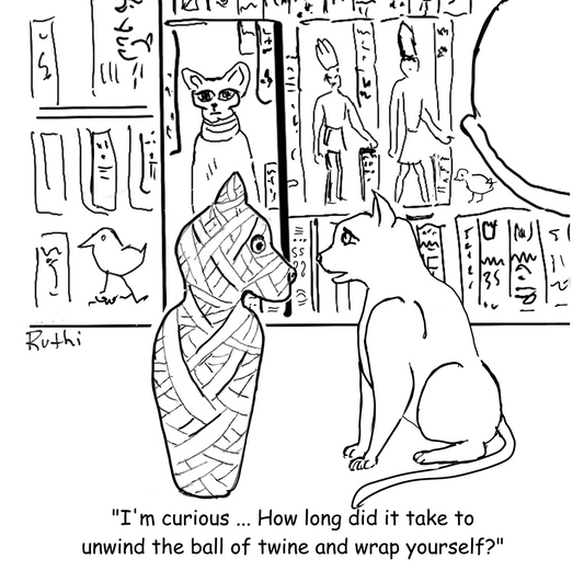 Cat-toon Mummy