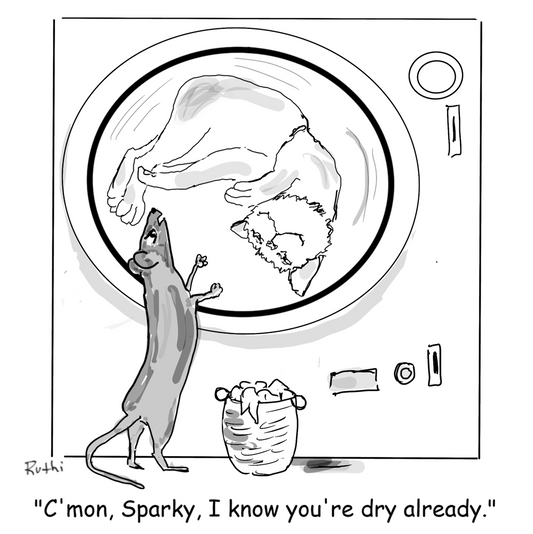 Cat-toon Spinning