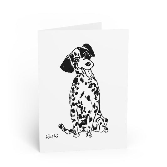 Dalmation