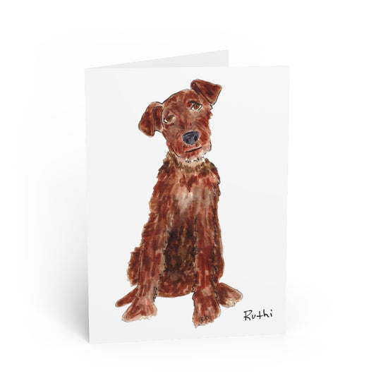 Irish Terrier