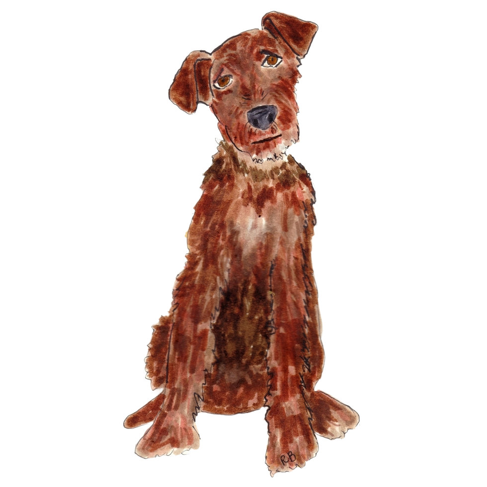 Irish Terrier