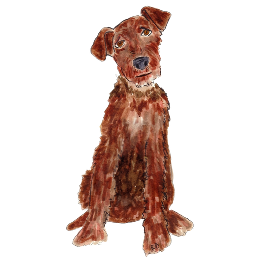 Dog-toon Irish Terrier
