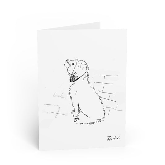 Terrier In Love