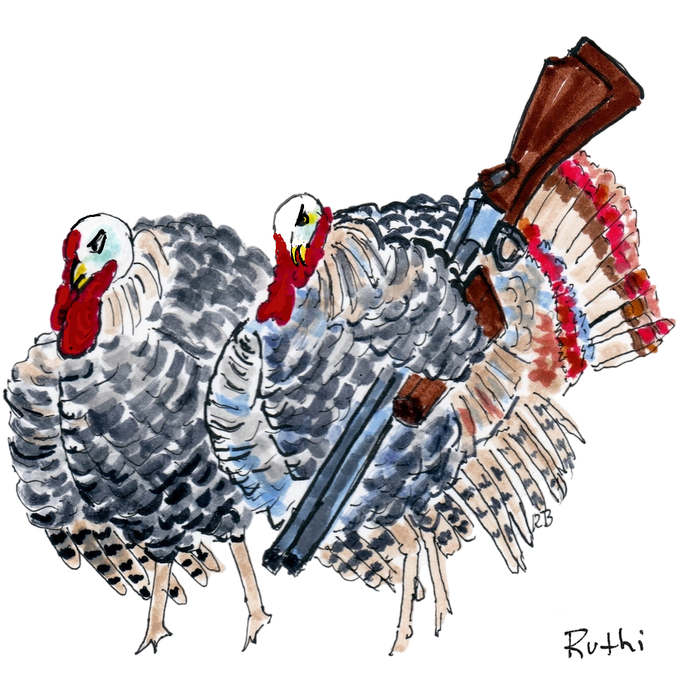 Turkey Hunt
